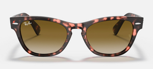 Ray-Ban Laramie RB2201 Sunglasses