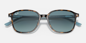 Ray-Ban Leonard RB2193 Sunglasses