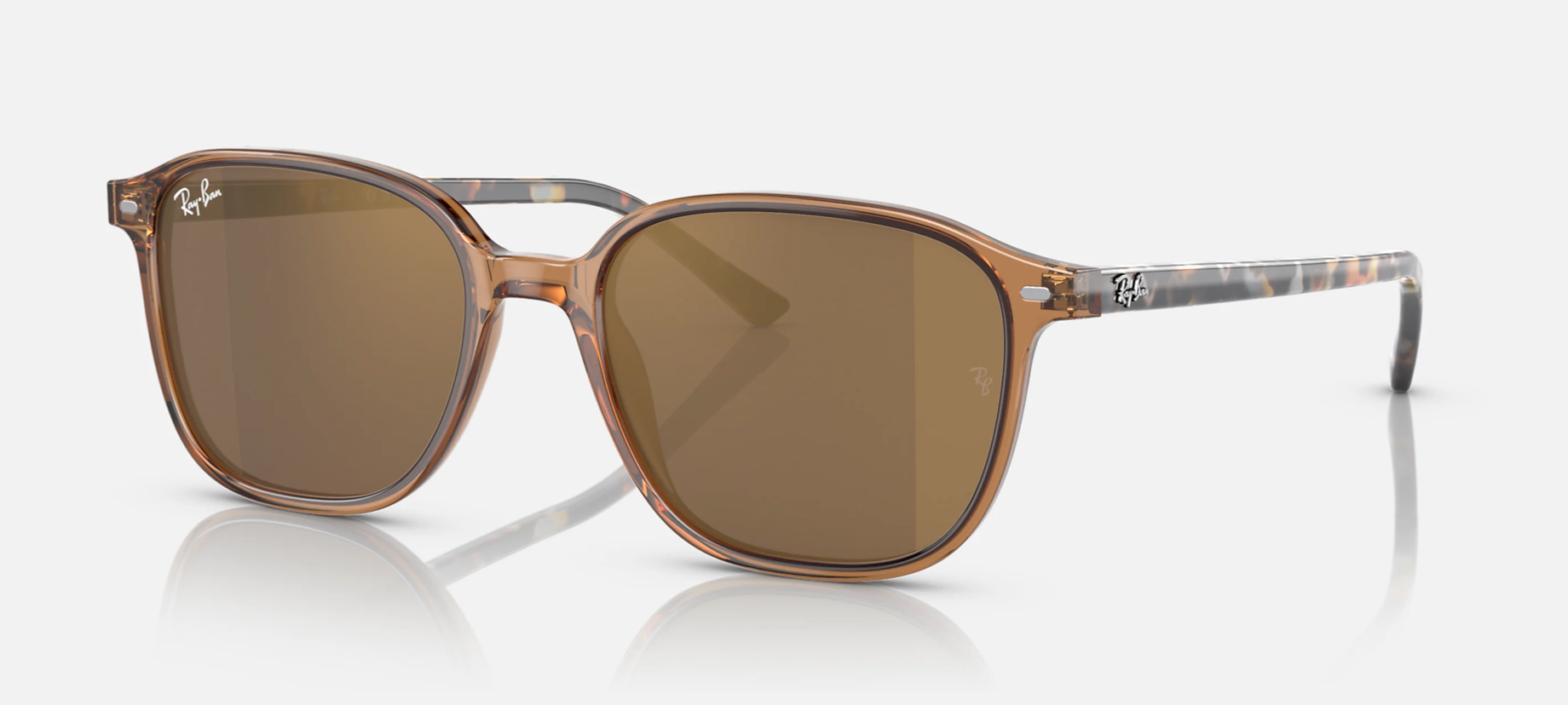 RAY-BAN LEONARD RB2193 SUNGLASSES - Flight Sunglasses RAY-BAN LEONARD RB2193 SUNGLASSES - Flight Sunglasses