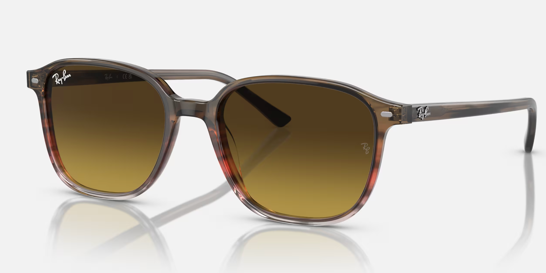 RAY-BAN LEONARD RB2193 SUNGLASSES Flight Sunglasses