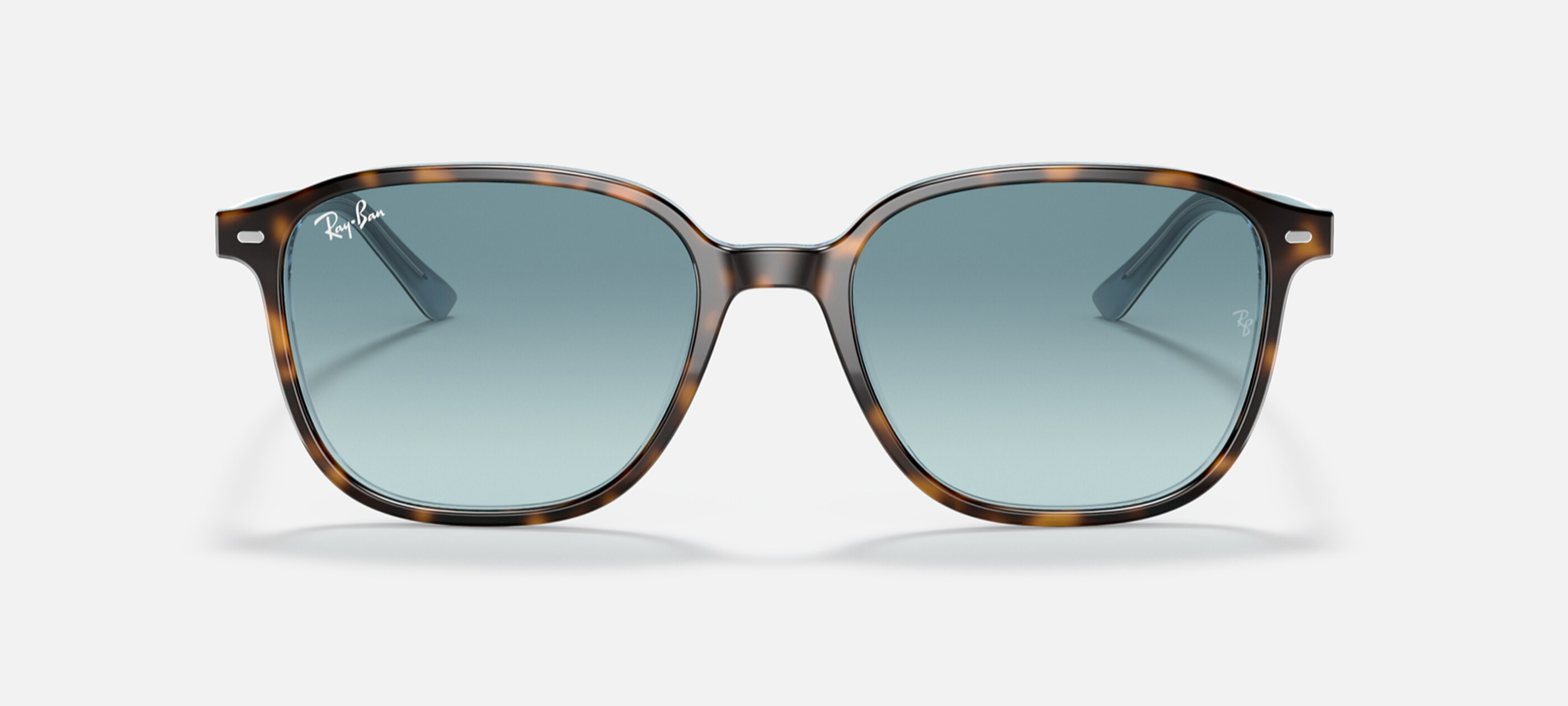 RAY-BAN LEONARD RB2193 SUNGLASSES - Flight Sunglasses RAY-BAN LEONARD RB2193 SUNGLASSES - Flight Sunglasses