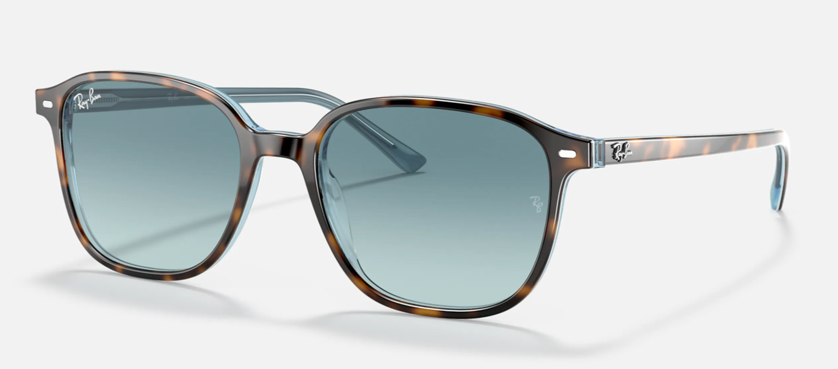 RAY-BAN LEONARD RB2193 SUNGLASSES Flight Sunglasses