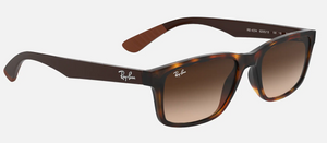 Ray-Ban RB4234 Sunglasses
