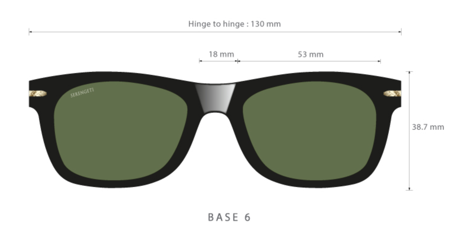 Serengeti Foyt Sunglasses SS549001 SS549002 SS549003 SS549004